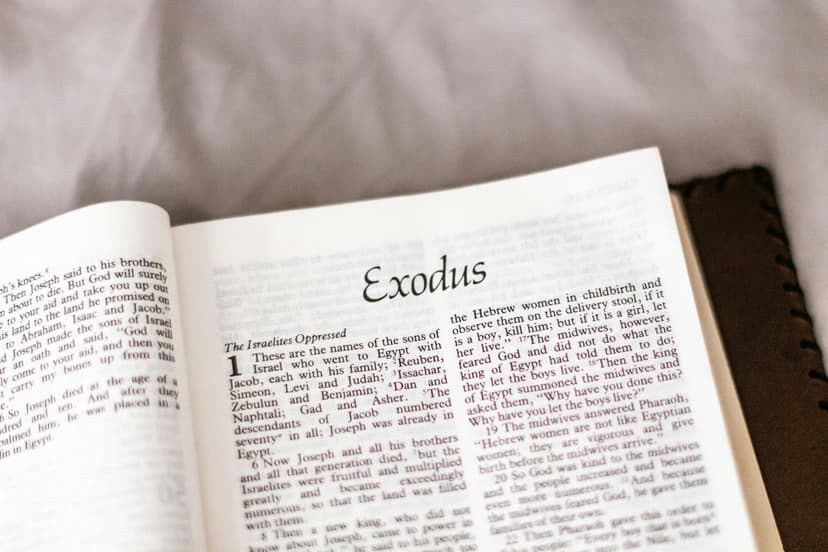 Exodus & Rendezvous - Why I Carry a Quantum of Moses Within Me?
